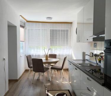Borovo Apartment | Top-Rated Family-Friendly Stay at Apartman ANJA