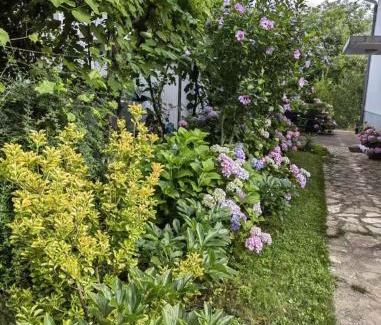 Grabovac Apartment | Apartman Barbara