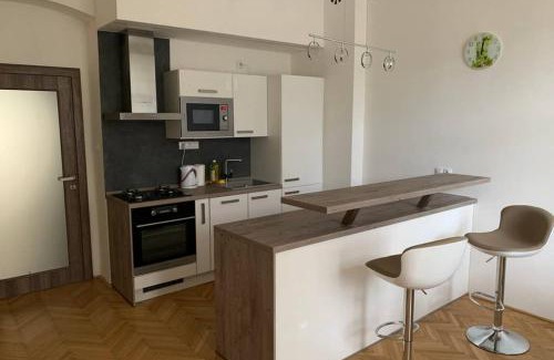 Usti nad Labem Apartment | Inviting Stay at Apartman Centrum 301 - Family-Friendly Amenities