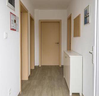 Zrce Apartment | Top-Rated Family Retreat at Apartman Citro Awaits You