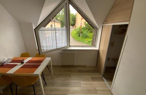 Rajec-Jestrebi Apartment | Discover Apartman Discoveryou: Pet-Friendly Retreat with Hot Tub