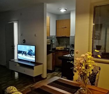 Teslic Apartment | Family-Friendly Stay at Apartman EDEN No 1 with Great Ratings