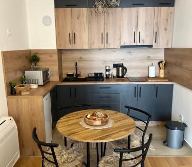 Ilidza Apartment | Top-Rated Child-Friendly Stay at Apartman Elenora Sarajevo