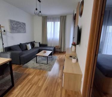 Zlatibor Apartment | Apartman Elianna Spa & Weelness