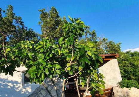 Muc Villa | Discover Apartman Gizdavac: Guest Rated 9/10 & Pet Friendly