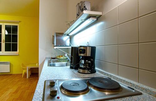 Mala Moravka Apartment | Apartman Karlov