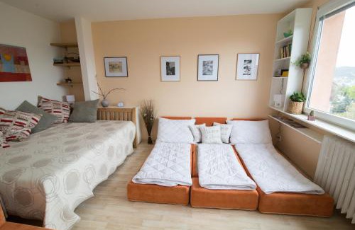 Usti nad Labem Apartment | Child-Friendly Comfort at Apartman Labe - Rated 9.5/10