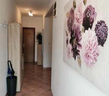 Zadar Apartment | Pet-Friendly Apartman Luka: Top Rated 10/10 Retreat