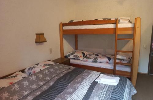 Mitterfirmiansreut Apartment | Top-Rated Family Apartment at Mitterdorf Almberg 7