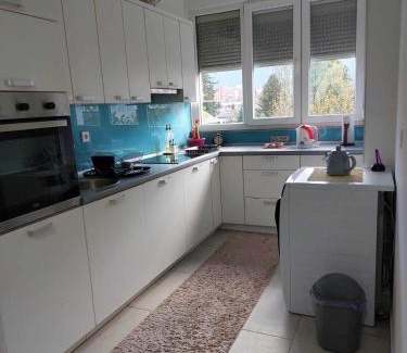 Mali Radic Apartment | Guest Rated 9.9: Family-Friendly Apartman OMANOVIĆ Awaits