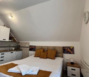 Brdo Apartment | Impeccable Stay at Apartman Pavle - Rated 9.9/10!