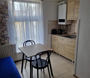 Karlovy Vary Apartment | Apartman Sara