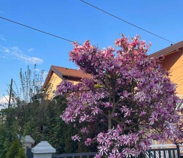 Novi Grad Sarajevo Apartment | Guest Rated 9.1: Family-Friendly Apartment in Sarajevo