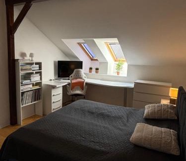 Martin Apartment | Family-Friendly Apartment in Central Martin - Rated 8.9/10