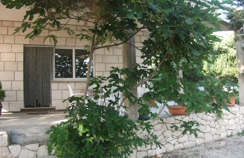 Vela Glavica Apartment | Cozy Stay at Apartmani Bilin Žal - A Budget-Friendly Retreat