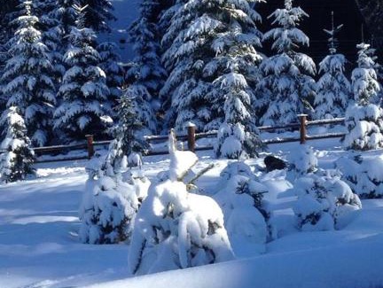 Babanovac Apartment | Top-Rated Apartmani Megara Vlasic with Hot Tub & Kitchen