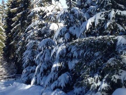 Babanovac Apartment | Top-Rated Apartmani Megara Vlasic with Hot Tub & Kitchen