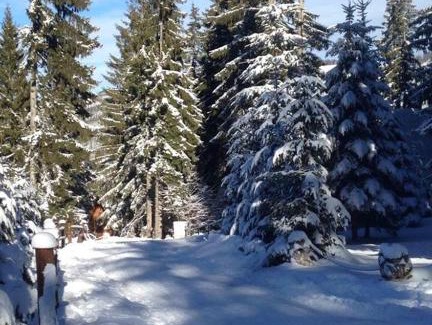 Babanovac Apartment | Top-Rated Apartmani Megara Vlasic with Hot Tub & Kitchen