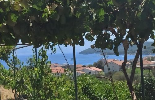 Slatine Apartment | Top-Rated Family-Friendly Apartmani Mislav Awaits You