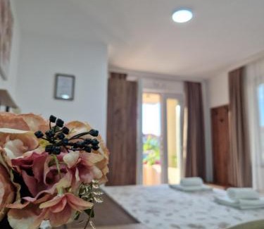 Veliko Gradiste Apartment | Apartmani Nataly M2