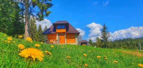 Sokolac Ski Chalet | Discover Nišićka Oaza: Beachfront Bliss & Pool Access