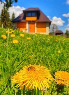 Sokolac Ski Chalet | Discover Nišićka Oaza: Beachfront Bliss & Pool Access
