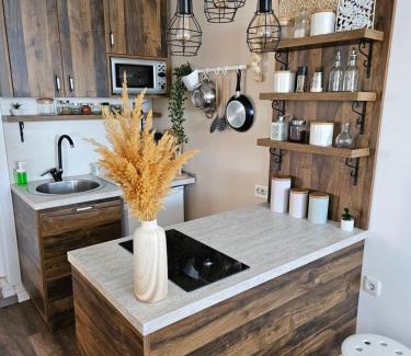 Southwestern Region Apartment | Oceanfront Retreat at Apartmani Rustik Trpejca - 10/10 Rated