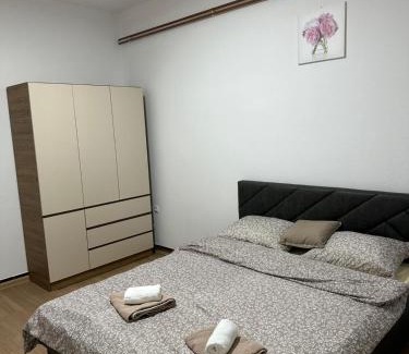 Nozicko Apartment | Apartmani Samardzic