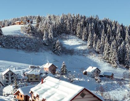 Ciganska Mahala Apartment | Top-Rated Apartmani Stefan Zlatar with Breakfast Included