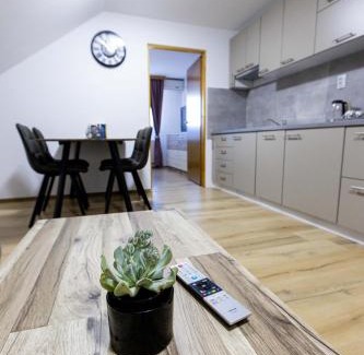 Svajcarnica Apartment | Family-Friendly Apartmani Tomšić with 9.6/10 Guest Rating