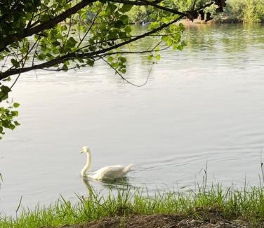 Bosanska Dubica Apartment | Apartmani Una Lux