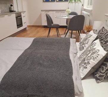 Brno-stred Apartment | Apartmans MWM Brno 2