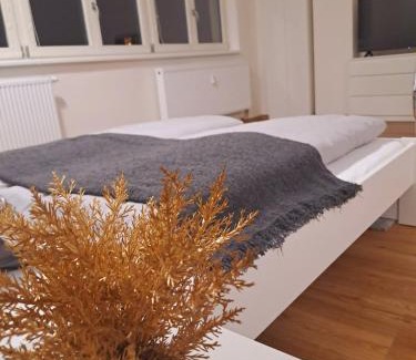 Brno-stred Apartment | Apartmans MWM Brno 2