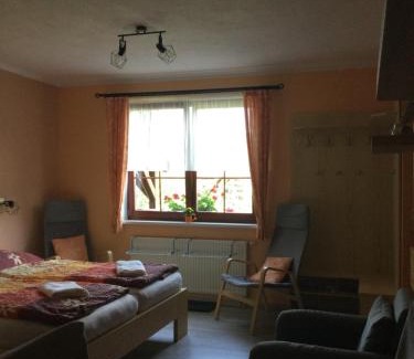 Rokytnice nad Jizerou Apartment | Oceanfront Apartmany Samuel: Guest Rated 9.5/10 with Pool