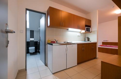 Cervena Voda Apartment | Cozy Apartments at Ski Resort Bukova Hora for Families