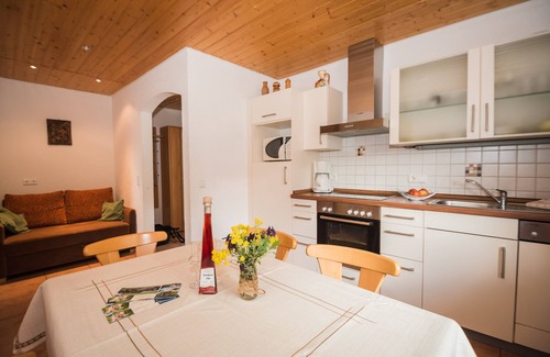 Bad Peterstal-Griesbach Apartment | Apartment '1' with Mountain View, Shared Terrace and Wi-Fi