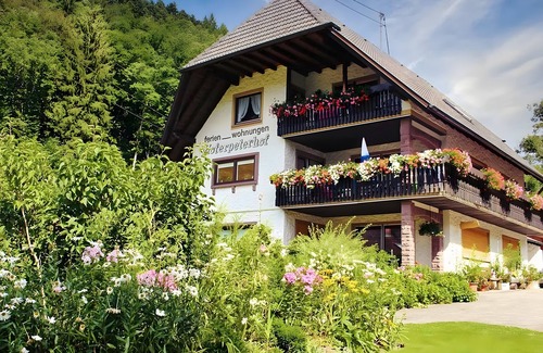 Bad Peterstal-Griesbach Apartment | Apartment '3 Zimmer' with Mountain View, Shared Terrace and Wi-Fi