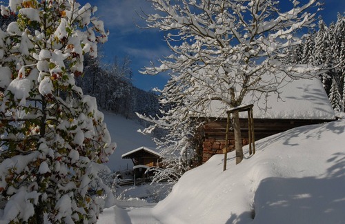 Bad Rippoldsau-Schapbach Apartment | Tranquil Farm Apartment with Private Pool and Goat Companions