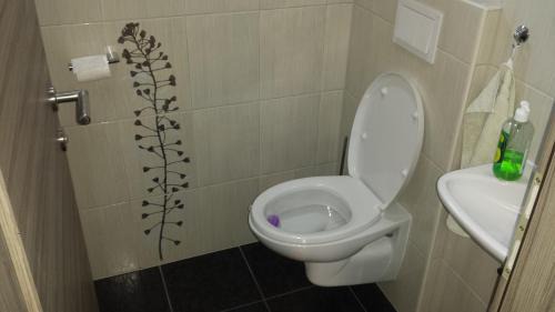 Miklavz na Dravskem Polju Apartment | Relax at Apartments Akacijev Izvir: 4-Star with Spa & Pool