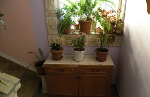 Bilice Apartment | Pet-Friendly Apartments Zara with Top Amenities and High Ratings