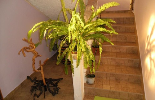 Bilice Apartment | Pet-Friendly Apartments Zara with Top Amenities and High Ratings