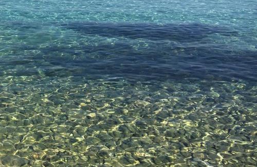 Silba Apartment | Oceanfront Apartment ŽUŽI on Silba Island, Croatia