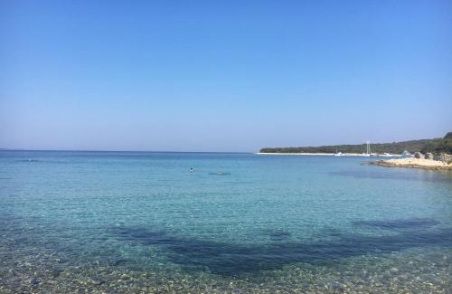 Silba Apartment | Oceanfront Apartment ŽUŽI on Silba Island, Croatia