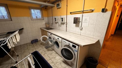 Lehen Apartment | Pet-Friendly Apartments in Germany with Great Guest Ratings
