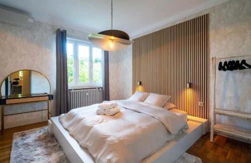 Selestat Apartment | Apartment 2 Bedrooms & Terrace - Fully Air-Conditioned - King Size Beds