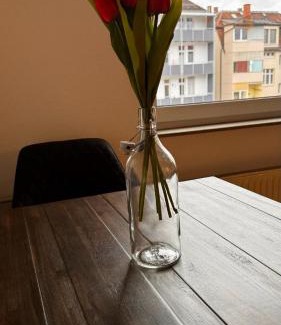Lehen Apartment | Pet and Child-Friendly Apartments in Germany Await You
