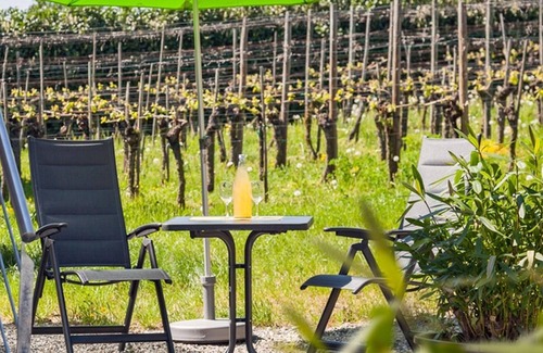 Hagnau Apartment | Apartment '303' with Shared Garden, Wi-Fi and Air Conditioning