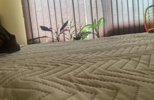 Tarija Apartment | Apartment 5 minutes from downtown!