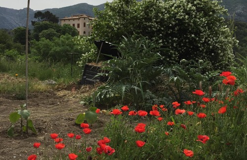 Vauvenargues Apartment | Tranquil Apartment 90m2 with Pool near Aix-En-Provence
