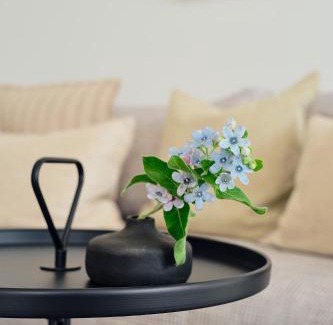 Zirchow Apartment | Apartment A 8 "Pine Hill Resort"